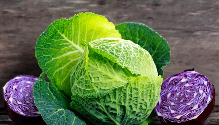Σούπα λάχανου, δίαιτα για απώλεια βάρους ➡ ➡️ Ανακαλύψτε online ▷ ➡️