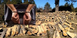 Συνελήφθη 25χρονος για λαθροϋλοτομία στην Καστοριά