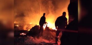 Φωτιά μικρής έκτασης στο Τοιχιό Καστοριάς