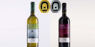 Χρυσό και ασημένιο μετάλλιο για το κτήμα Στεργίου στον Διεθνή Διαγωνισμό Οίνου Θεσσαλονίκης