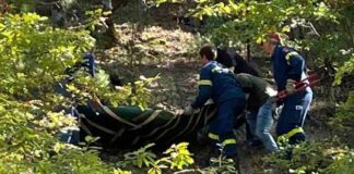 Μεγάλη επιχείρηση για τον απεγκλωβισμό αρκούδας στη Φλώρινα