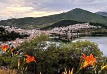 Ο καιρός σήμερα Τρίτη 24 Φεβρουαρίου