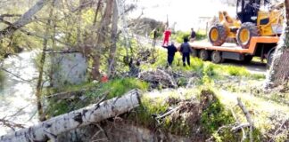 Κοπή και απομάκρυνση επικίνδυνων δέντρων από την Π.Ε. Καστοριάς