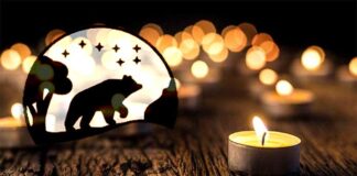 Συλλυπητήρια ανακοίνωση της Περιβαλλοντικής Οργάνωσης Καλλιστώ