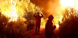 Μεγάλη φωτιά κοντά στο τελωνείο Κρυσταλλοπηγής