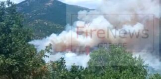 Φωτιά στη Δεσκάτη Γρεβενών – Εκκενώθηκε κατασκήνωση με 55 παιδιά