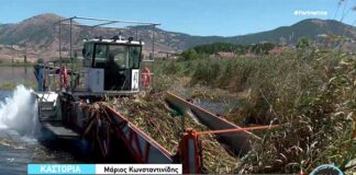 Στη “μάχη” με τα καλάμια της λίμνης της Καστοριάς και το ειδικό πολυμηχάνημα