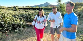 Η Μαρία Αντωνίου στις πληγείσες καλλιέργειες στην Καστοριά