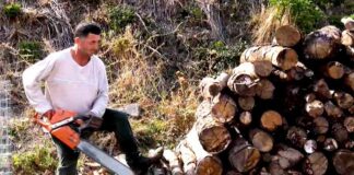 Στην Καστοριά ξεκίνησαν να προμηθεύονται τα ξύλα του χειμώνα