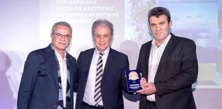 Χρυσό βραβείο για την Π.Ε. Καστοριάς στα Best City Awards 2026