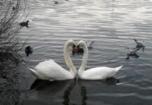 Ο καιρός σήμερα Σάββατο 14 Φεβρουαρίου