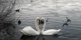 Ο καιρός σήμερα Σάββατο 14 Φεβρουαρίου