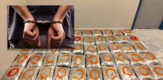 Συνελήφθη 26χρονος στην Καστοριά για διακίνηση 56 κιλών κάνναβης