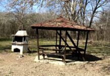 Το Δασάκι της Μεσοποταμίας ζητά ξανά τον σεβασμό μας – Περνά σε νέα εποχή προστασίας