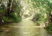 Ολοκληρώθηκαν οι εργασίες καθαρισμού σε μήκος 2,5 χλμ. στον Ξηροπόταμο (Στάρα Ρέκα)