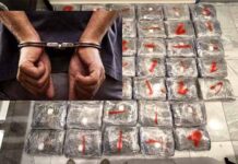 Καστοριανοί αστυνομικοί συνέλαβαν 24χρονο για διακίνηση μεγάλης ποσότητας κάνναβης