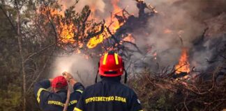 Συνεχίζεται η μάχη με τη φωτιά στην Κρυσταλλοπηγή – Νέο μήνυμα του 112 για εκκένωση προς Πρέσπες