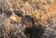 Όταν φύση κάνει αυτό που ξέρει…